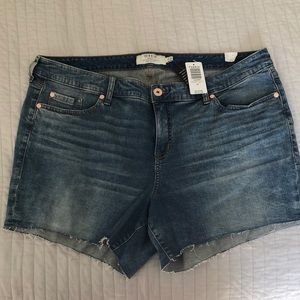 Torrid size 22 denim ‘Lover’ shorts- NWT!!